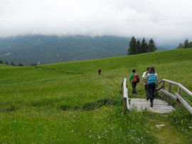 In cammino sui sentieri tra i prati verso San Martino di Castrozza (19612 bytes)